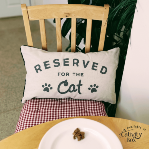 Reserved for the cat cushion on a kitchen chair next to the table