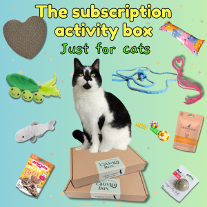 Text with a cat underneath saying. The subscription activity box just for cats