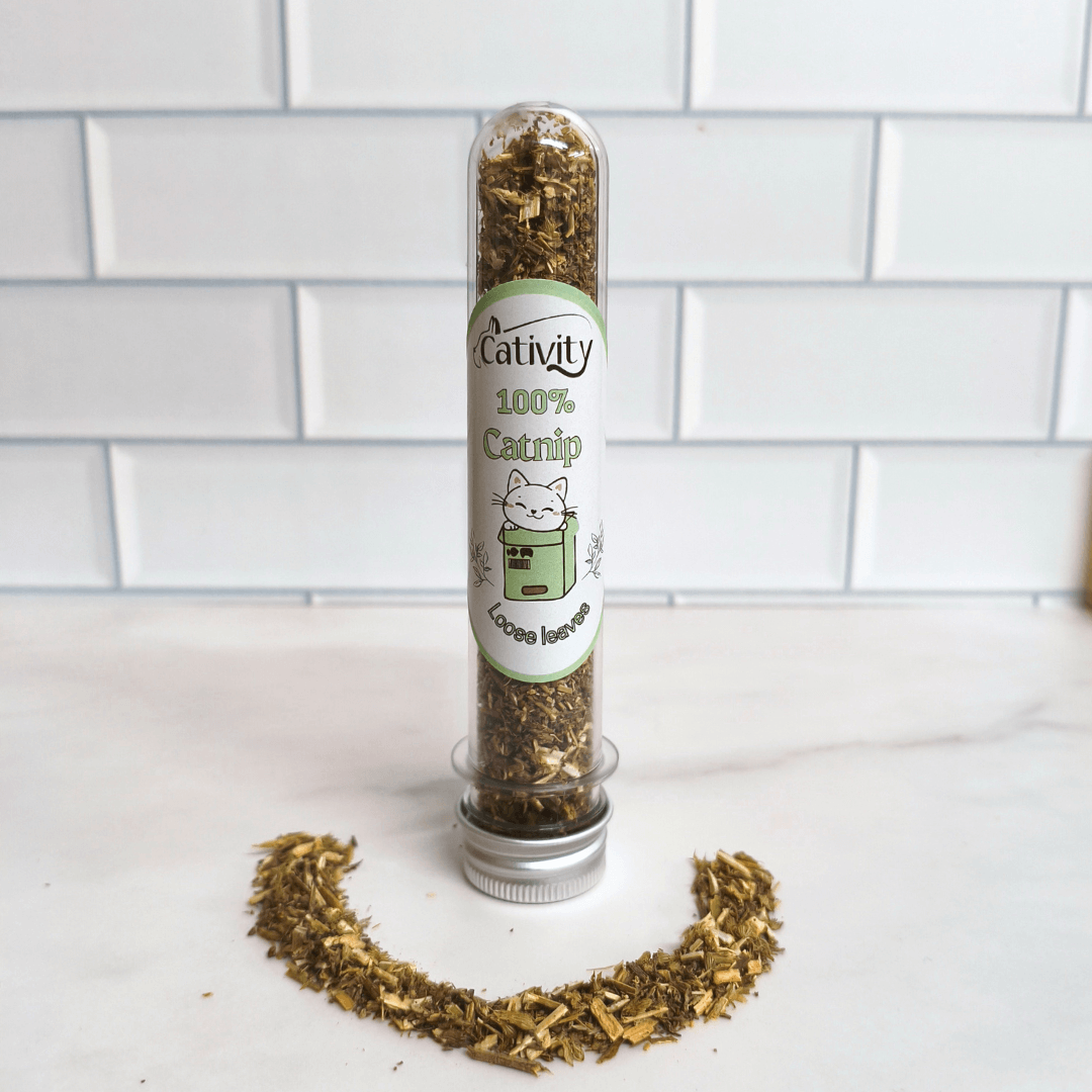 Cativity 100% Catnip tube standing upright with loose catnip sprinkled in a semicircle around the base.