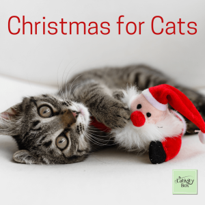 Christmas for cats