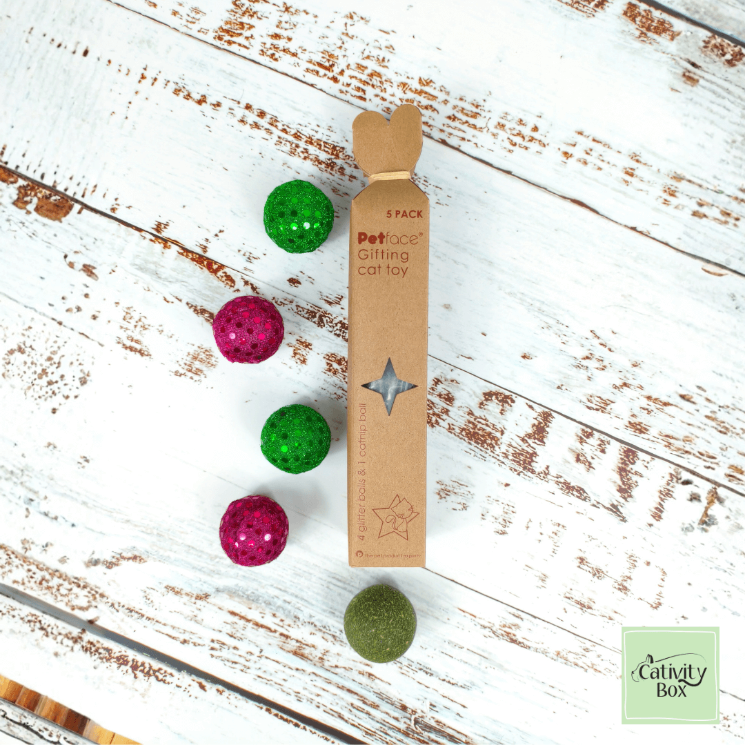 Petface Festive Cat Toy Set with 5-pack of pink and green glitter balls and one catnip ball in kraft gift box on white wooden background.