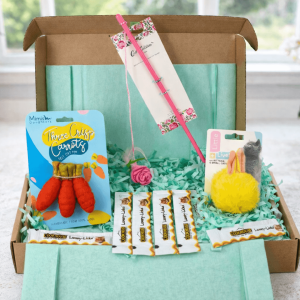 Open spring cat gift box containing a Cath Kidston rose teaser wand, Three Crisp Carrots felt wool cat toys by Mimis Daughters, a Little and Lively yellow rattle bunny ear ball, and Cookhouse Luxury Licks yoghurt treat sachets, presented in mint-green shredded paper.