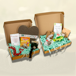 Two cativity boxes next to each other showing a variety of toys and treats. 