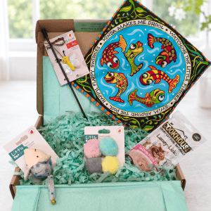 Kitten gift box open showing butterfly wand teaser, bell mouse toy, pom pom toys, fish mat and salmon treat in teal crinkle fill