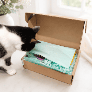 Themed boxes