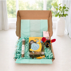 Cativity catnip gift box open and filled with Buzz Bee, Sam the Snail, and a catnip tube in aqua crinkle paper